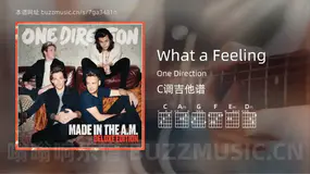 What a Feeling One Direction 吉他谱C调简单版