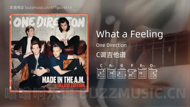 What a Feeling One Direction 吉他谱C调简单版