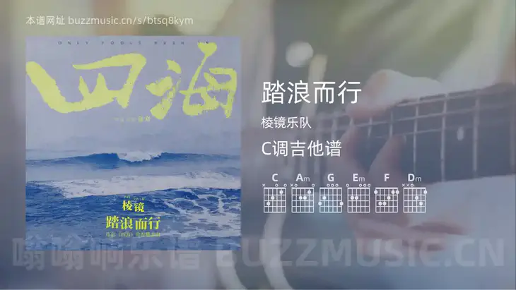 踏浪而行 棱镜乐队 吉他谱C调简单版