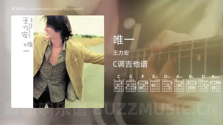 唯一吉他谱C调 王力宏 简单版