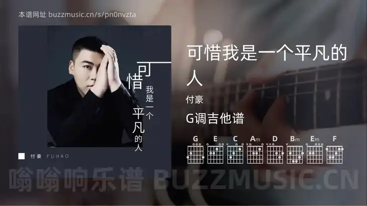 可惜我是一个平凡的人吉他谱G调 付豪 简单版