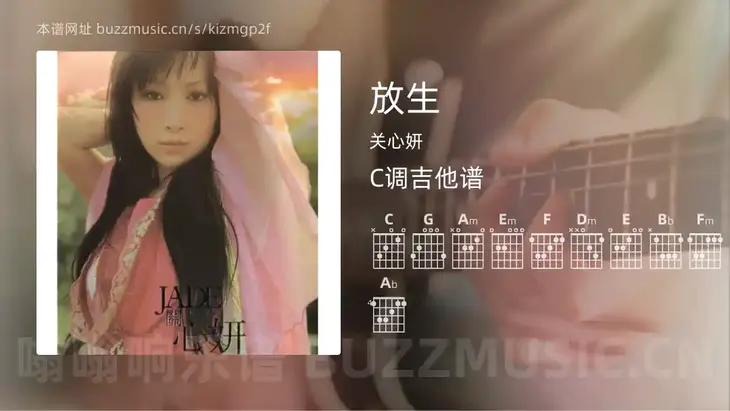 放生 关心妍 吉他谱C调简单版