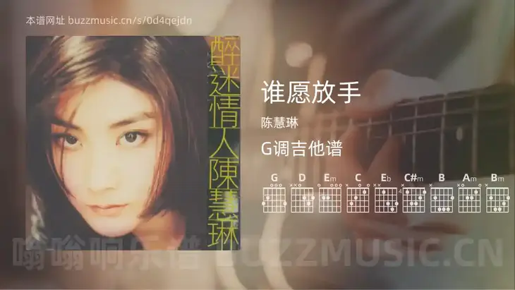 谁愿放手 陈慧琳 吉他谱G调简单版