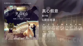 真心假意 崔子格 吉他谱G调简单版