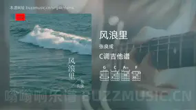 风浪里 张良成 吉他谱C调简单版