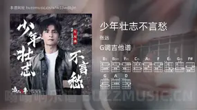 少年壮志不言愁 张远 吉他谱G调简单版