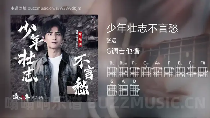 少年壮志不言愁 张远 吉他谱G调简单版