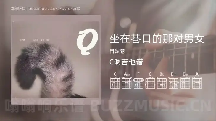 坐在巷口的那对男女 自然卷 吉他谱C调简单版