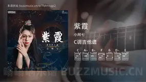 紫霞 小阿七 吉他谱C调简单版
