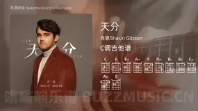 天分 肖恩Shaun Gibson 吉他谱C调简单版