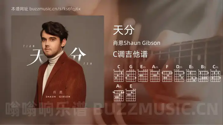天分 肖恩Shaun Gibson 吉他谱C调简单版
