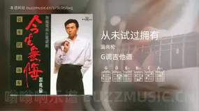 从未试过拥有 温兆伦 吉他谱G调简单版
