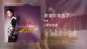 老婆你辛苦了 祁隆 吉他谱C调简单版