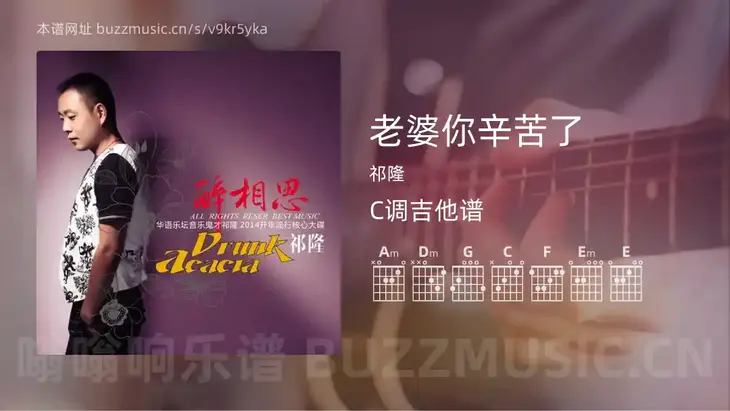 老婆你辛苦了 祁隆 吉他谱C调简单版