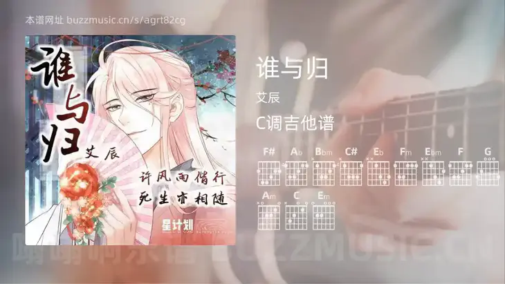 谁与归 艾辰 吉他谱C调简单版