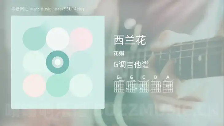 西兰花 花粥 吉他谱G调简单版