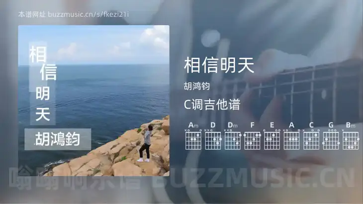 相信明天吉他谱C调 胡鸿钧 简单版