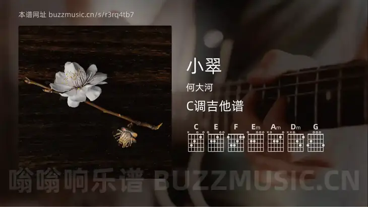 小翠吉他谱C调 何大河 简单版