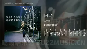 囚鸟吉他谱C调 王小帅 简单版