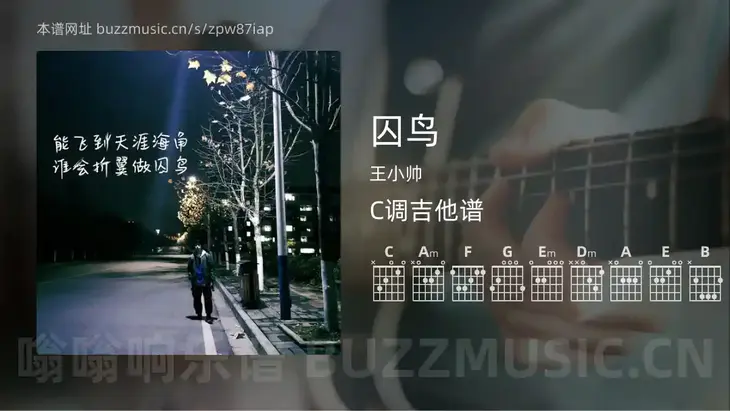 囚鸟吉他谱C调 王小帅 简单版
