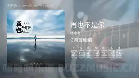再也不是你吉他谱C调 杨小壮 简单版