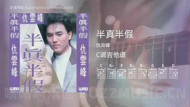 半真半假吉他谱C调 仇云峰 简单版
