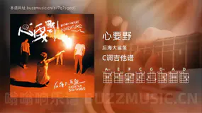 心要野 后海大鲨鱼 吉他谱C调简单版