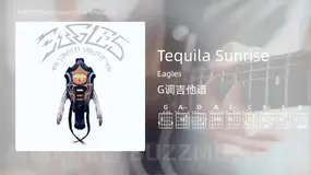 Tequila Sunrise Eagles 吉他谱G调简单版