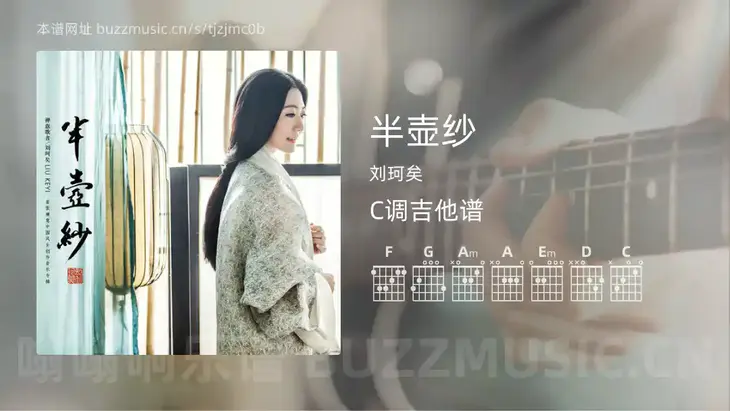 半壶纱 刘珂矣 吉他谱C调简单版