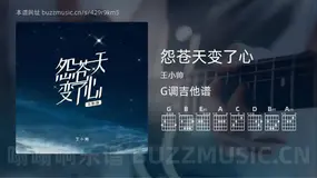 怨苍天变了心 王小帅 吉他谱G调简单版
