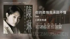 你的柔情我永远不懂吉他谱C调 陈琳 简单版