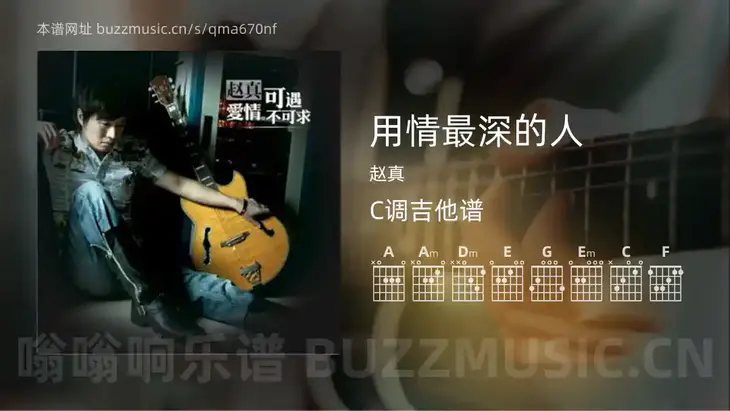 用情最深的人吉他谱C调 赵真 简单版