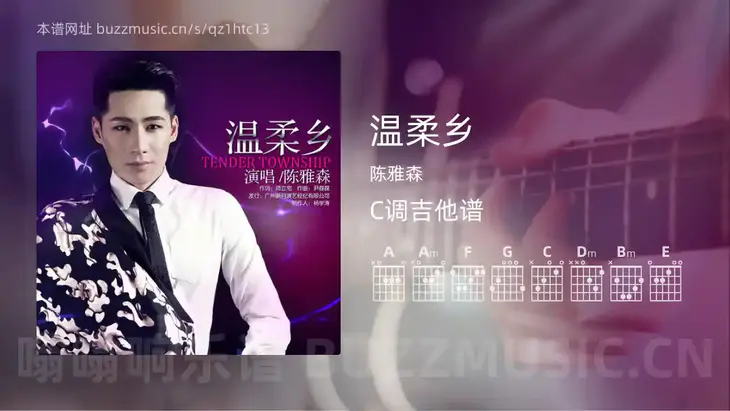 温柔乡 陈雅森 吉他谱C调简单版
