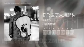 你飞去了大海那头 郑小辫儿 吉他谱C调简单版