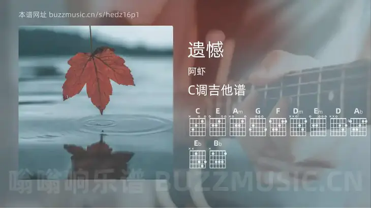 遗憾 阿虾 吉他谱C调简单版