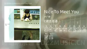 Nice To Meet You 卢广仲 吉他谱C调简单版