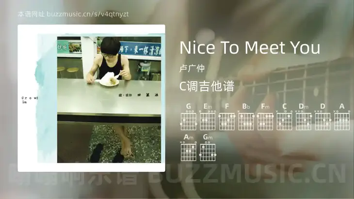Nice To Meet You 卢广仲 吉他谱C调简单版