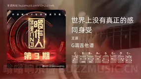 世界上没有真正的感同身受 王源 吉他谱G调简单版