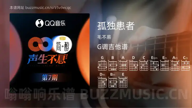 孤独患者 毛不易 吉他谱G调简单版