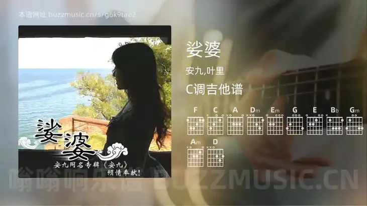 娑婆 安九,叶里 吉他谱C调简单版