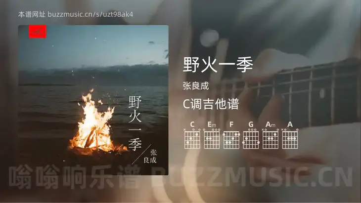 野火一季 张良成 吉他谱C调简单版