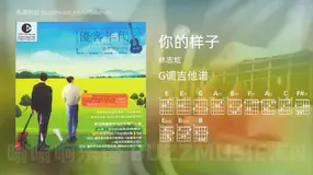 你的样子 林志炫 吉他谱G调简单版