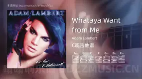 Whataya Want from Me吉他谱C调 Adam Lambert 简单版