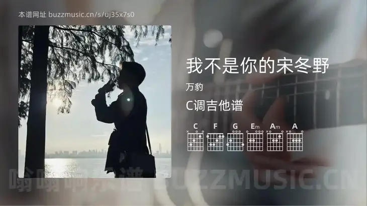 我不是你的宋冬野吉他谱C调 万豹 简单版