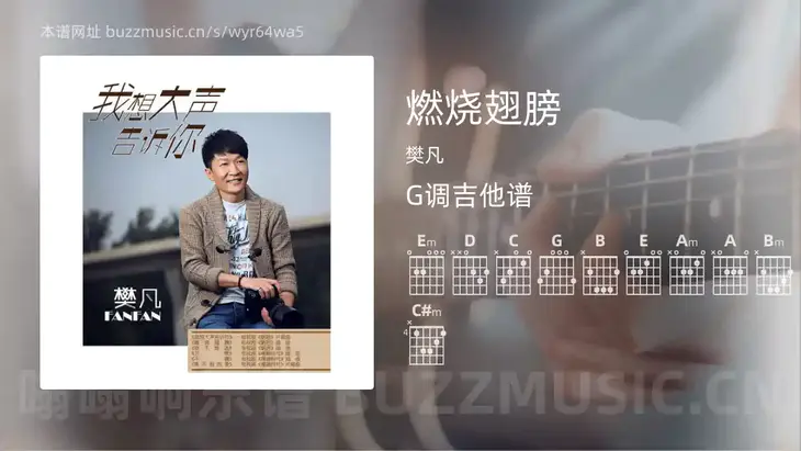 燃烧翅膀 樊凡 吉他谱G调简单版