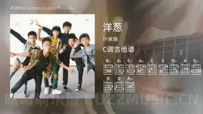 洋葱 TF家族 吉他谱C调简单版