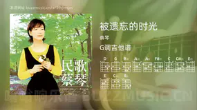 被遗忘的时光 蔡琴 吉他谱G调简单版