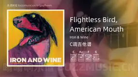 Flightless Bird, American Mouth吉他谱C调 Iron & Wine 简单版