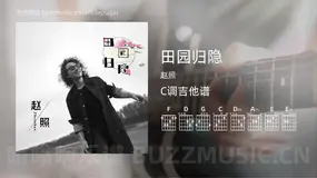 田园归隐 赵照 吉他谱C调简单版