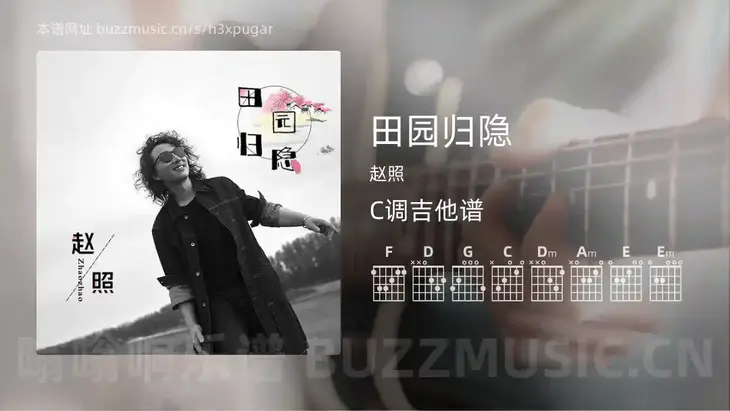 田园归隐 赵照 吉他谱C调简单版